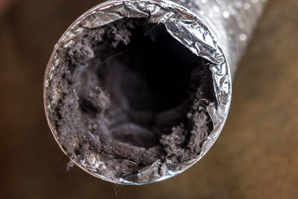Best Air Duct Mold Removal  in Canal Winchester, OH